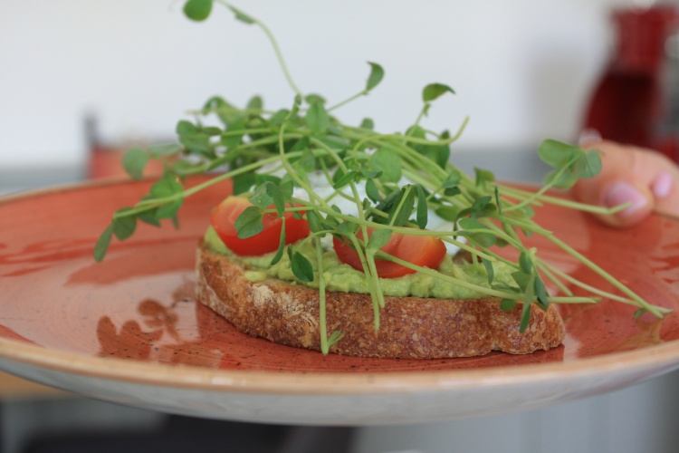 Avokádókrémes toast buggyantott tojással
